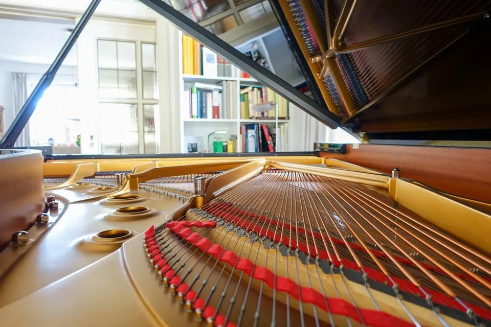 Steinway & Sons Flügel B-211, gebraucht top-erhalten — Ansicht 4